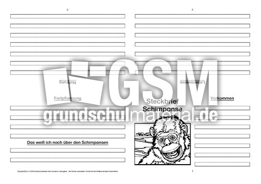 Schimpanse-Faltbuch-vierseitig-3.pdf